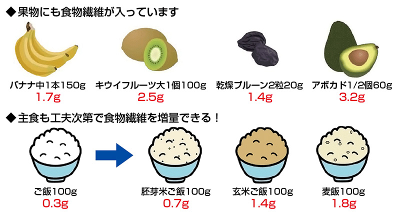 フルーツや主食に含まれる食物繊維の目安