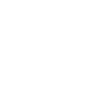Q06