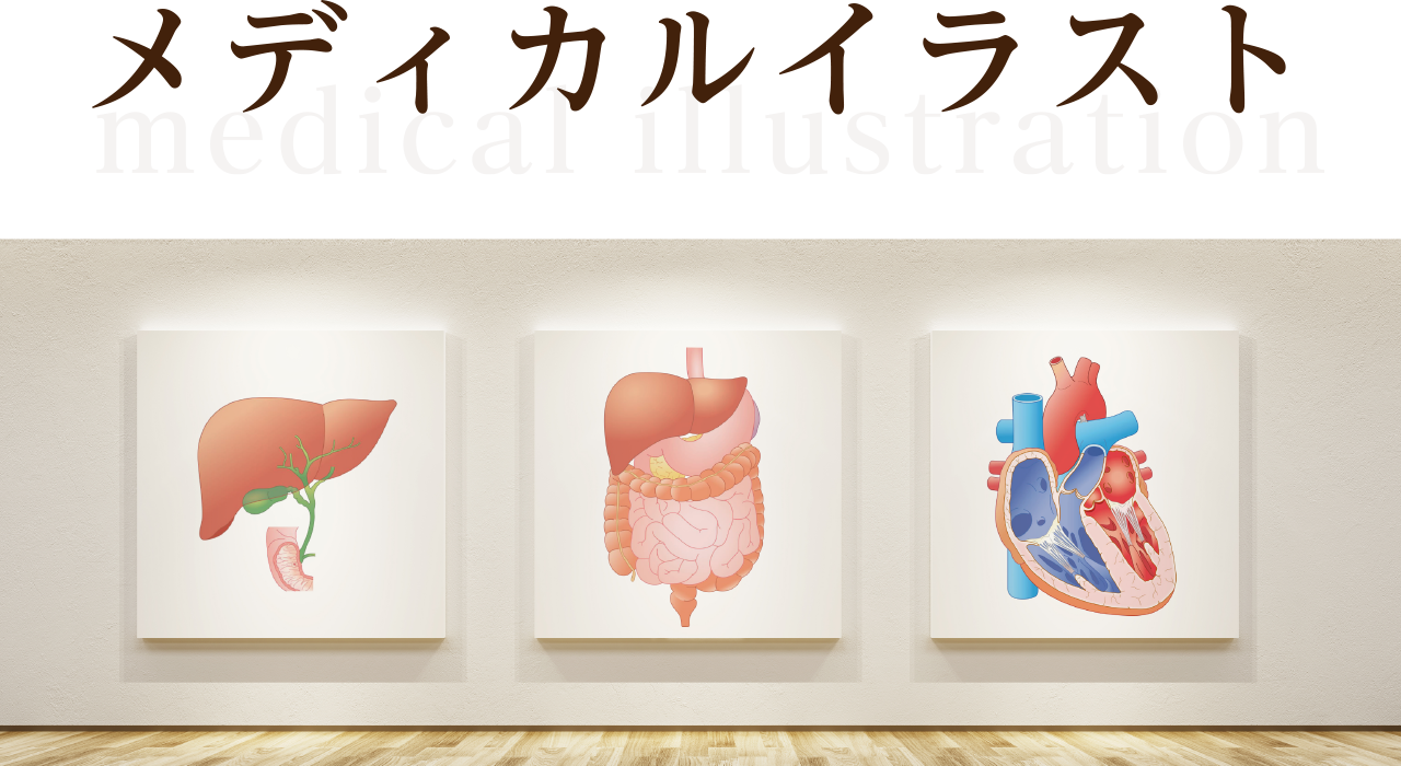 メディカルイラストTOPの画像