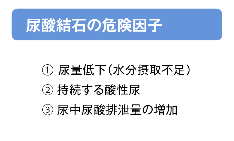 尿酸結石の危険因子の画像